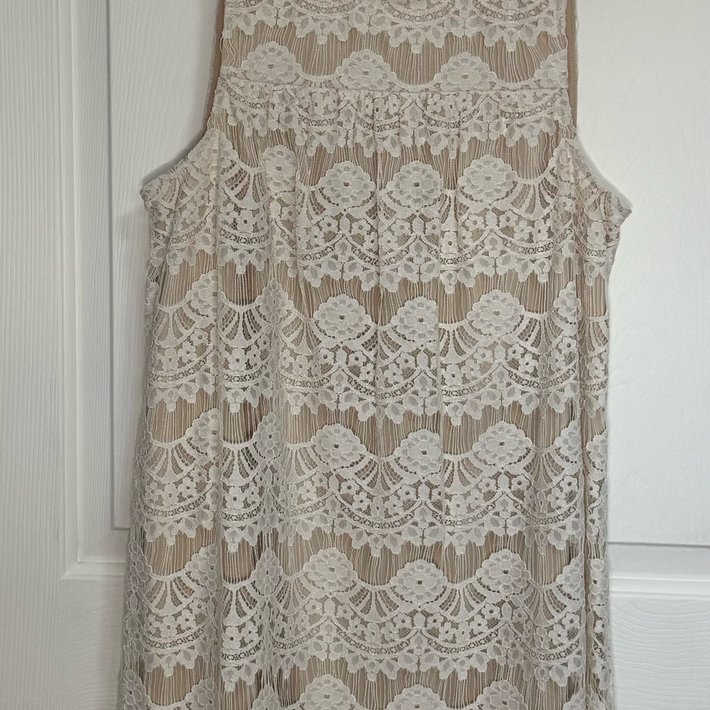 Elegant Lace Overlay Dress